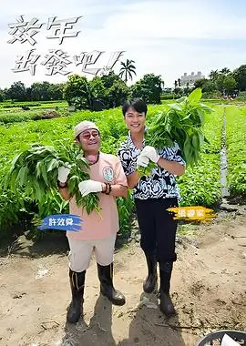 市集夜话纪实节目条目封面